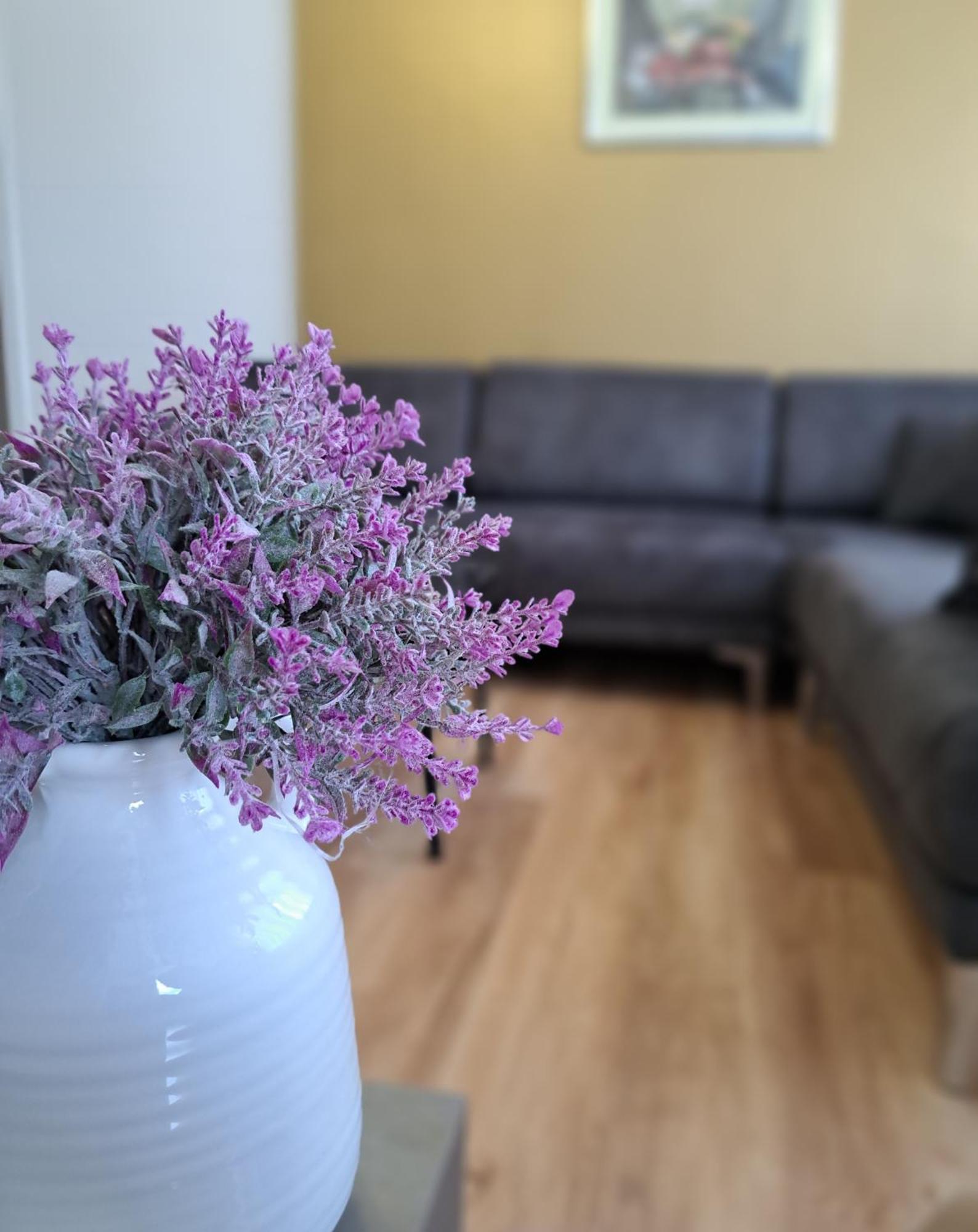 Apartment Pazari Luxury *